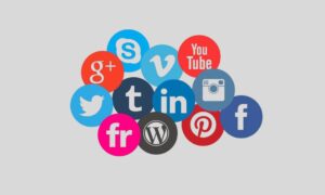 New Media
