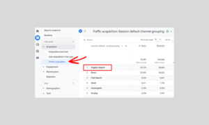 Organic Search in Google Analytics