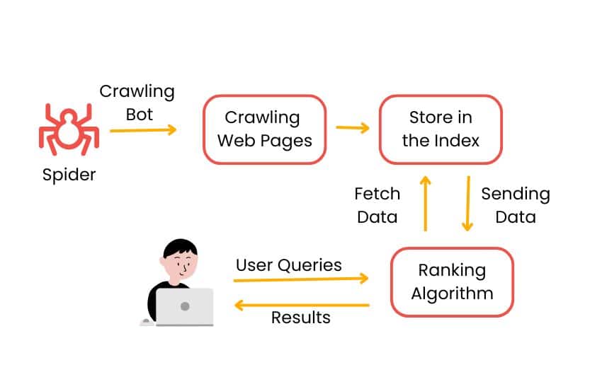 Web Crawlers and Their Role